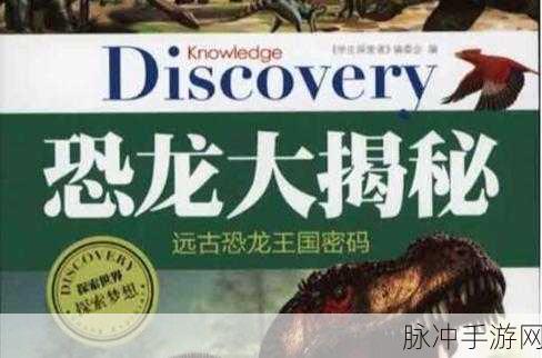 王国 80 年代第二章通关秘籍大揭秘