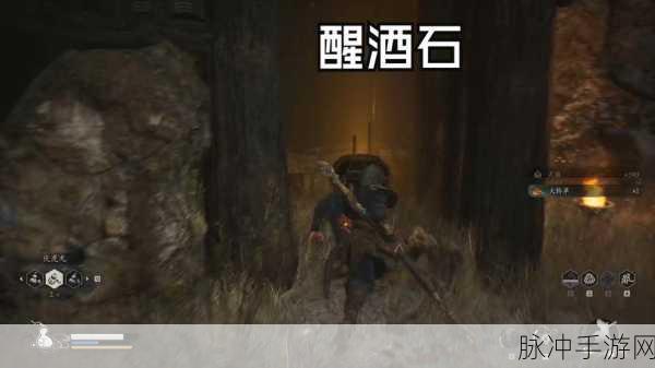 黑神话悟空中醒酒石的获取秘籍大公开