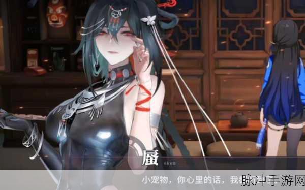 归龙潮缠缠潮品的绝佳选择指南