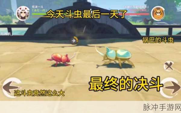 原神斗虫活动全解析及致胜秘籍