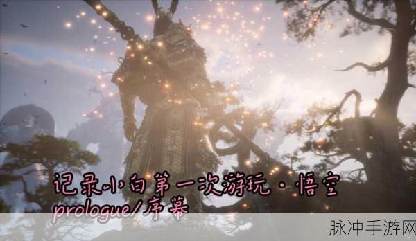 黑神话悟空，黄芽白雪神仙府中的奇幻乐章与攻略秘籍