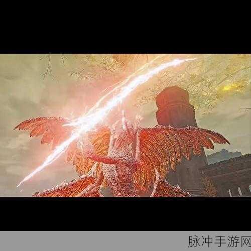 艾尔登法环，古龙骑士克里斯托福骨灰获取秘籍