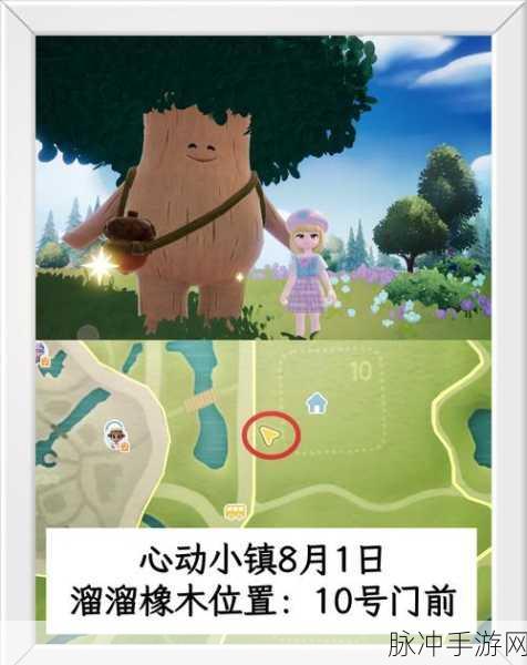2024 鲜花小镇礼包码大揭秘，畅玩无限
