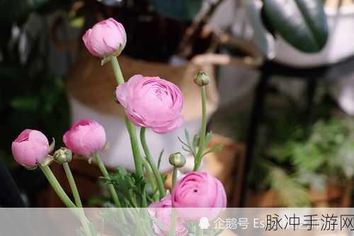 手游中花瓣小尾巴的樱花符号昵称女魅力解析及复制攻略