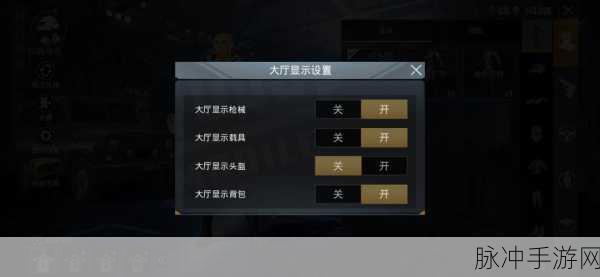 和平精英，头盔隐藏秘籍大揭秘