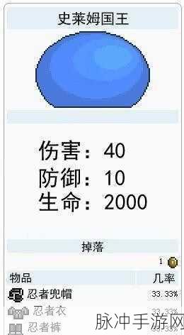泰拉瑞亚年长史莱姆驯服秘籍大公开