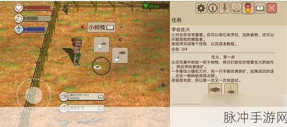 希望之村生火秘籍大揭秘