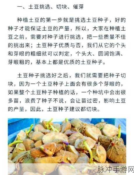 我的世界，土豆种植全攻略秘籍