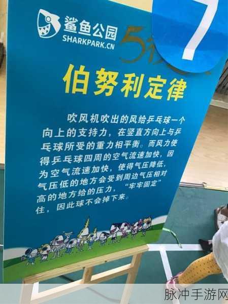 2024 教师节，手游狂欢与攻略秘籍