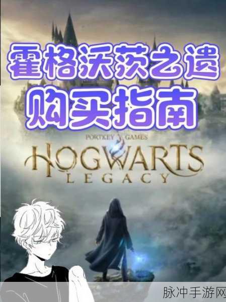 霍格沃茨之遗，选学院的深度剖析与差异指南