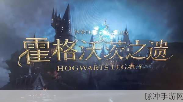 霍格沃茨之遗，选学院的深度剖析与差异指南