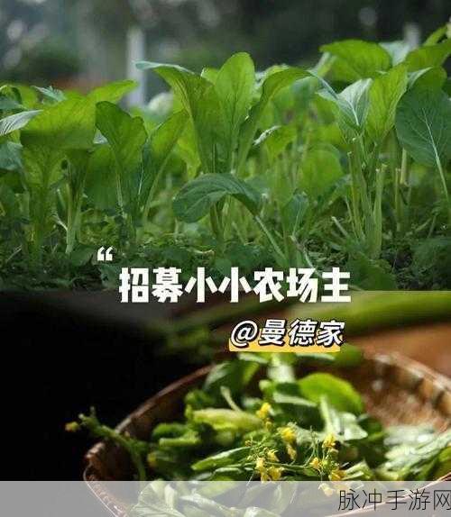 我是农场主 30 元提现真相大揭秘