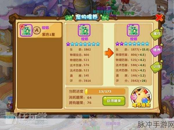 魔力宝贝归来，宠物档位深度解析