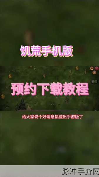 饥荒手机版上线时间大揭秘及全方位攻略