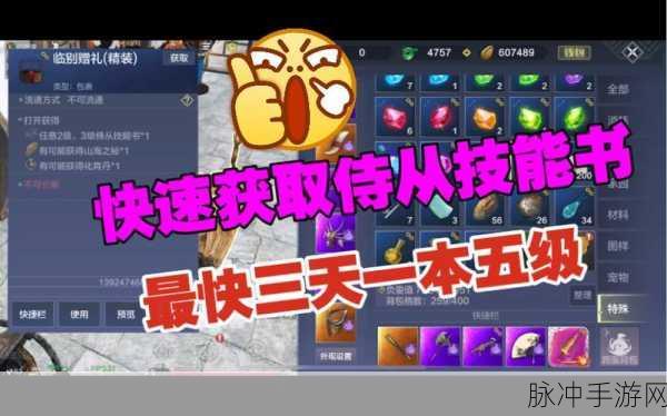 妄想山海 2024 兑换码全揭秘，惊喜福利等你拿