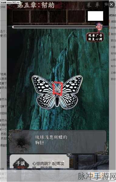 手游探秘，蝴蝶感知食物味道的神奇部位