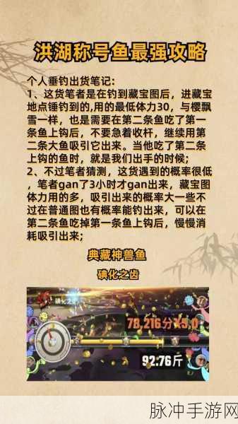 欢乐钓鱼大师，深度解析藏宝图的神奇用途