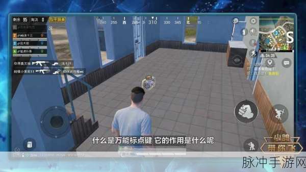 和平精英国际服，万能标点助力高效作战