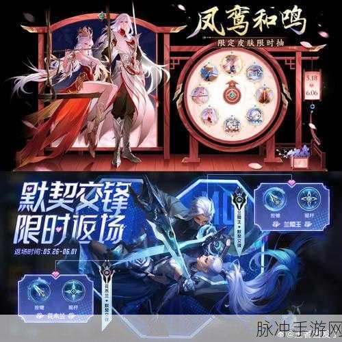 王者荣耀大司命暗都幽影价格全解析