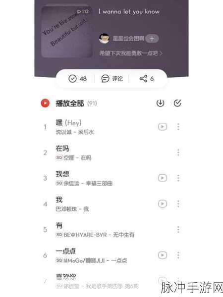 网易云音乐隐藏歌单设置秘籍大揭秘