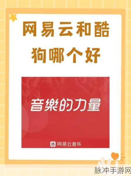 网易云音乐隐藏歌单设置秘籍大揭秘