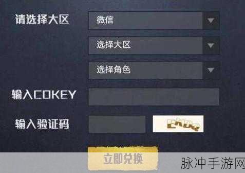 和平精英，探寻 CDKEY 兑换码的神秘入口
