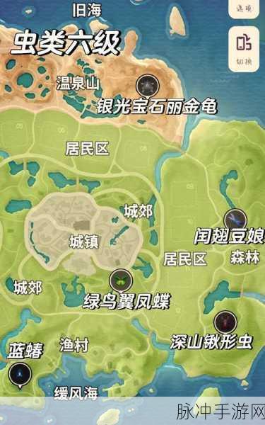 心动小镇全树木位置精准揭秘