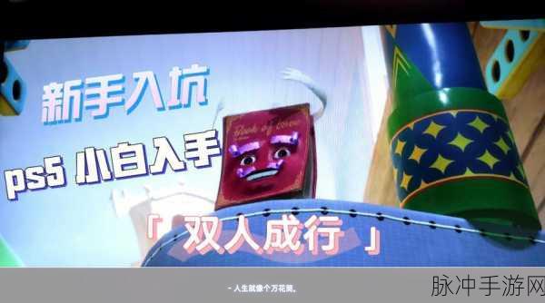 双人成行万花筒通关秘籍，轻松突破难关