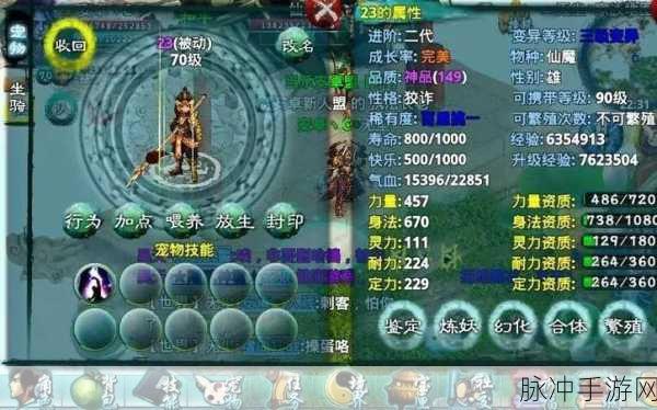 忘仙天尊，防御与攻击技能的巅峰对决