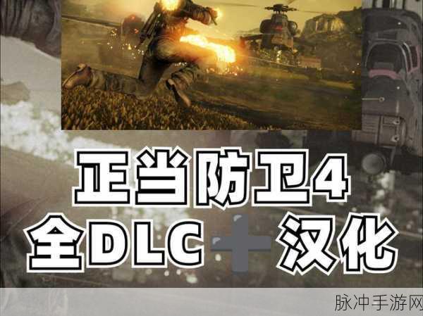 正当防卫 4 中文设置全攻略秘籍