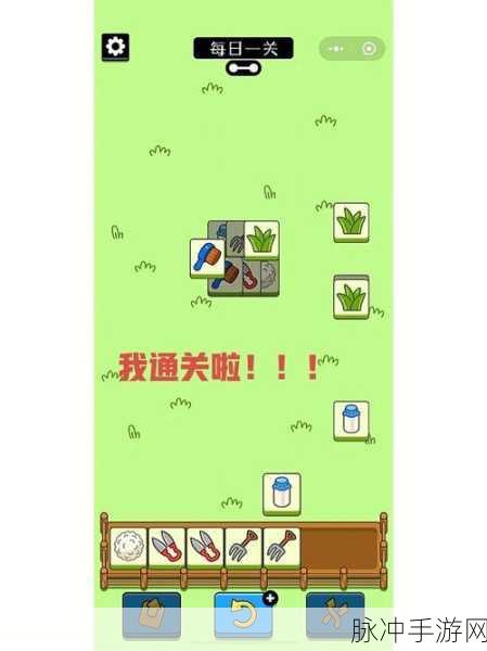 扶摇一梦迷域奇途通关秘籍大揭秘