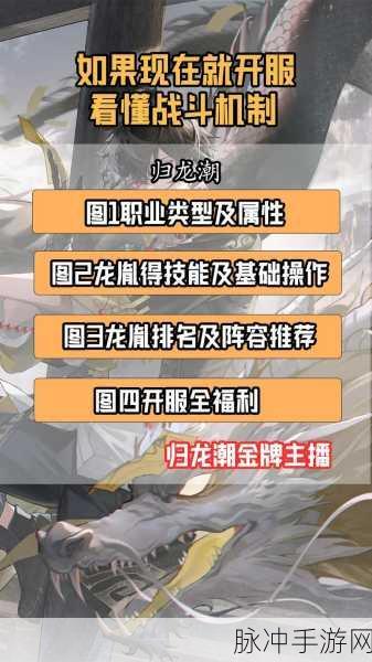 归龙潮气味的路标任务全解析
