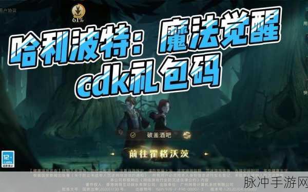 哈利波特魔法觉醒兑换码全揭秘