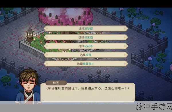 大侠立志传，衣物锦盒装备抉择指南