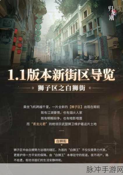 归龙潮中名导演的自我修养书籍位置全解析