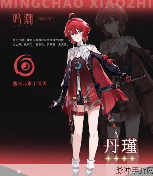 鸣潮训练师溶剂，功能强大的游戏关键元素
