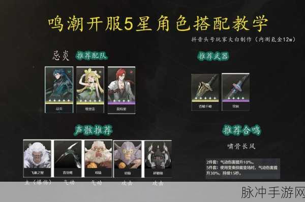 鸣潮训练师溶剂，功能强大的游戏关键元素