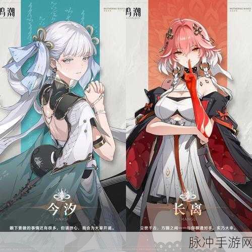 鸣潮角色深度解析，立绘与技能全览