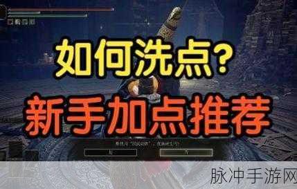 艾尔登法环洗点秘籍大公开