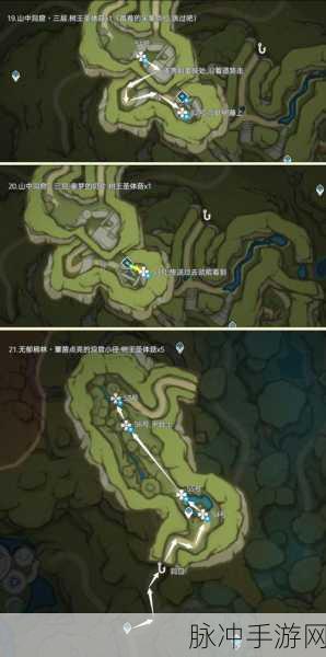 原神，树王圣体菇采集全攻略及路线图解析