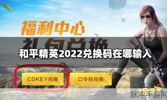 2024 和平精英免费 CDKEY 兑换码领取全攻略