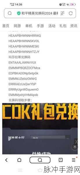 和平精英最新兑换码及三周年口令码全攻略