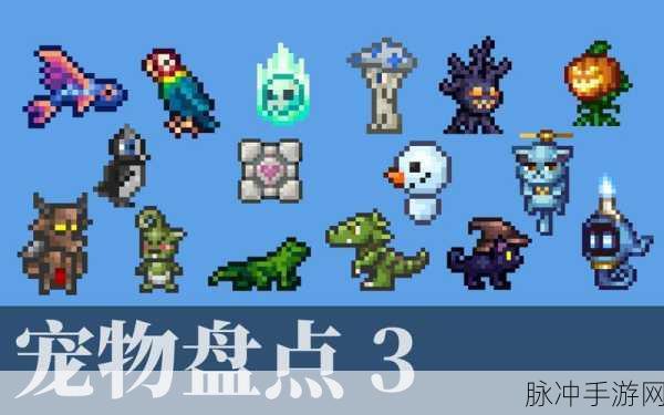 泰拉瑞亚宠物作用全方位解析