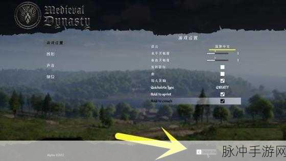 轻松搞定中世纪王朝中文设置，畅玩游戏