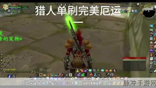 魔兽世界 20 周年庆，猎人快速练级秘籍