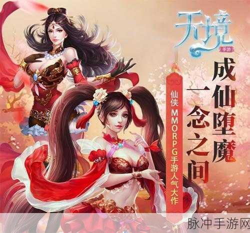 手游之华丽攻略，衣贵洁与等级平衡秘籍