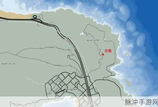 GTA5 手游中带舞女回家的详细攻略指南