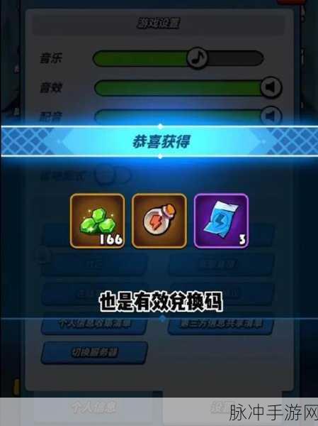 飞吧龙骑士，兑换码输入与使用全攻略