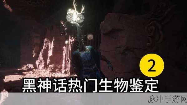 深入解析黑神话悟空浮屠塔的用途与路线