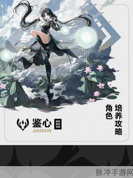 鸣潮鉴心与维里奈深度对比分析